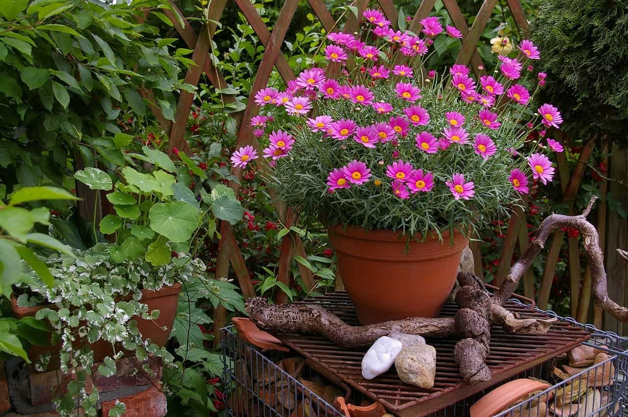 Gjør det selv Lag dekorative blomsterpotter