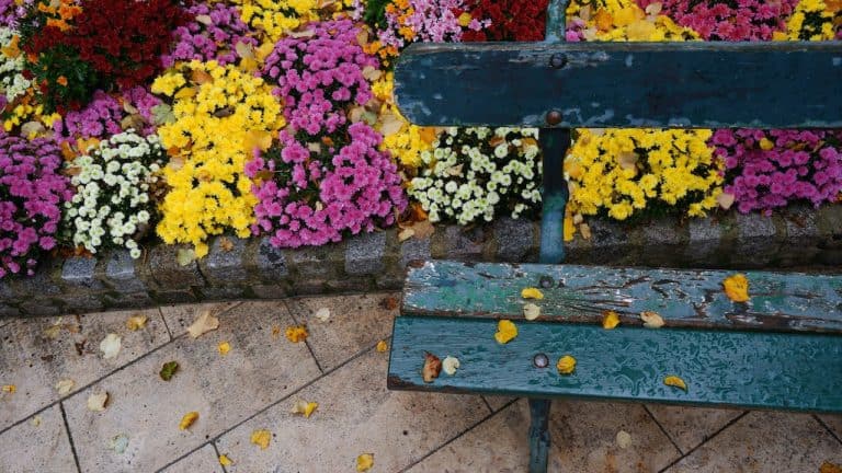 Hvordan få pent arrangerte blomsterbed