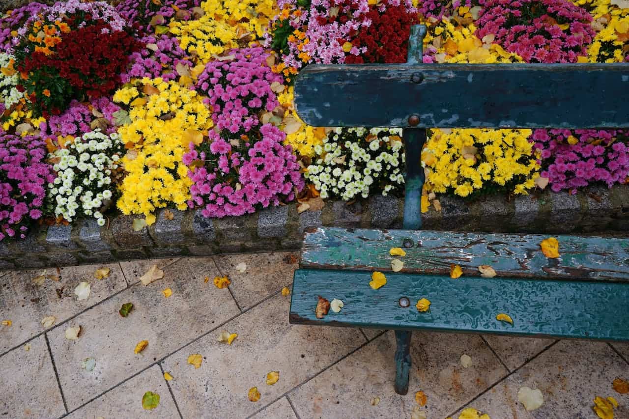 Hvordan få pent arrangerte blomsterbed